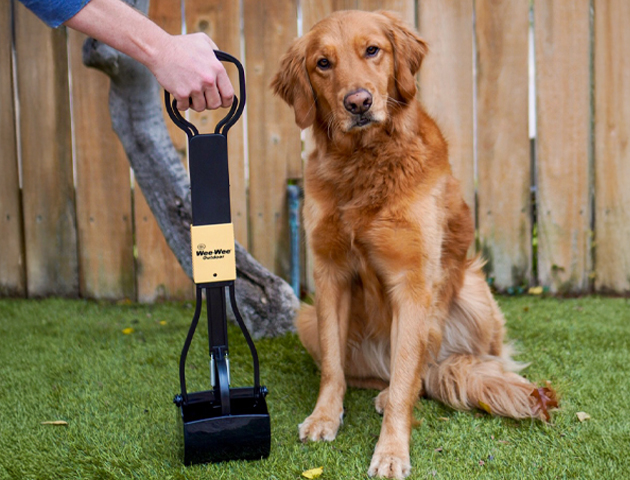 Waste Management & Training