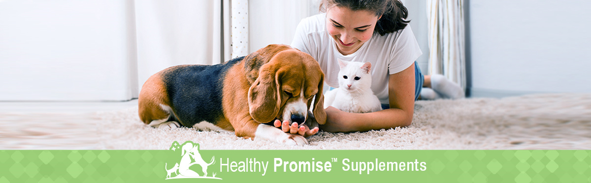 Healthy Promise Supplements header graphic with woman and dog.