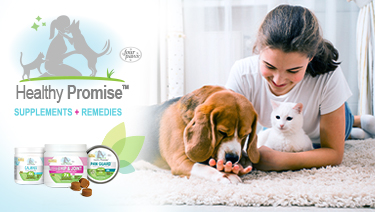 Why Healthy Promise Pet Supplements Four Paws