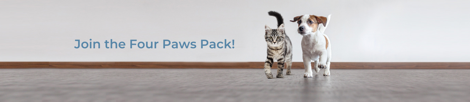 Join the Four Paws Pack graphic.