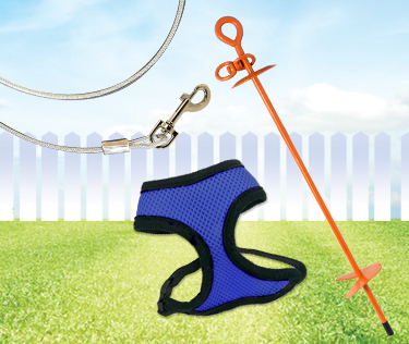 Graphic with tie-out, tether, and harness.