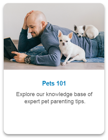 Pets 101 card.