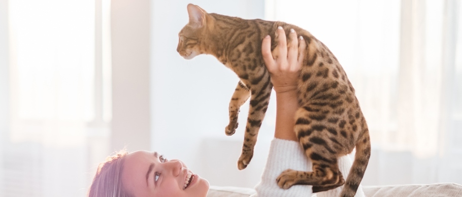 Happy girl holding her Bengal cat on a couch.