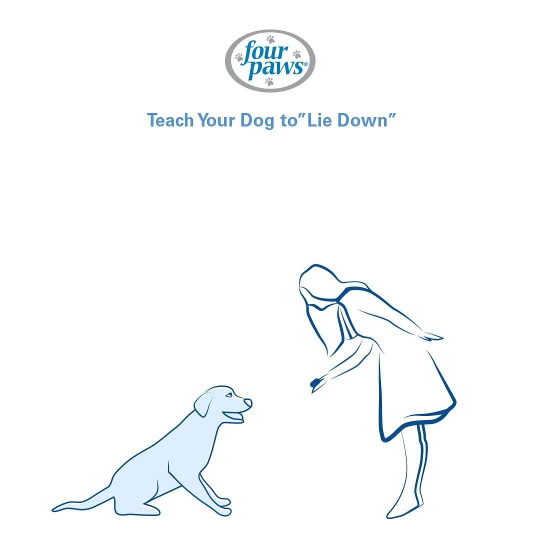 How to Teach 6 Easy Dog Tricks with Visuals Four Paws