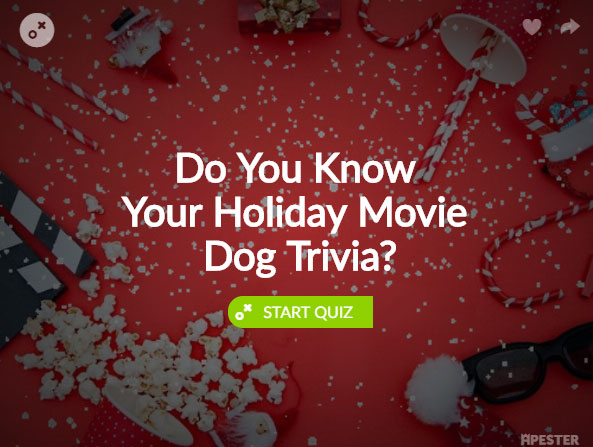 holiday-dog-movie-quiz