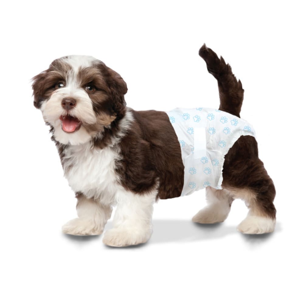 X Small Diaper